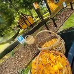 Z Antresolą Igły I Szyszki Apartament Jeleniewo (Warmian-Masurian)