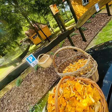 Z Antresola Igly I Szyszki Apartment Jeleniewo (Warmian-Masurian)