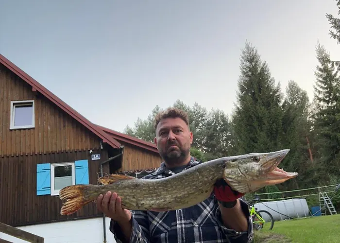 Apartment Z Antresola Igly I Szyszki *