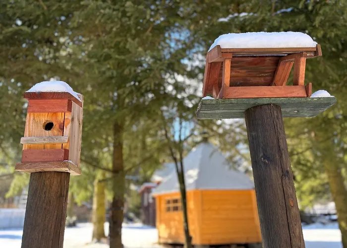 Z Antresola Igly I Szyszki * Jeleniewo (Warmian-Masurian)