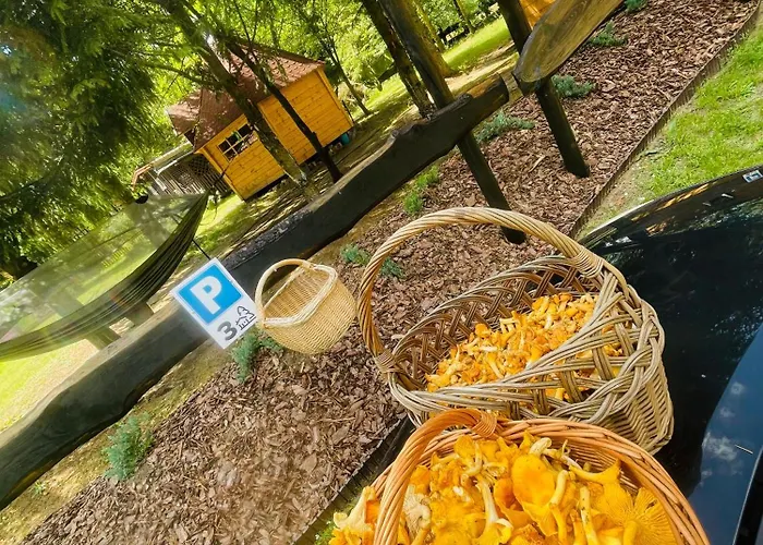 Z Antresola Igly I Szyszki Apartment Jeleniewo (Warmian-Masurian)