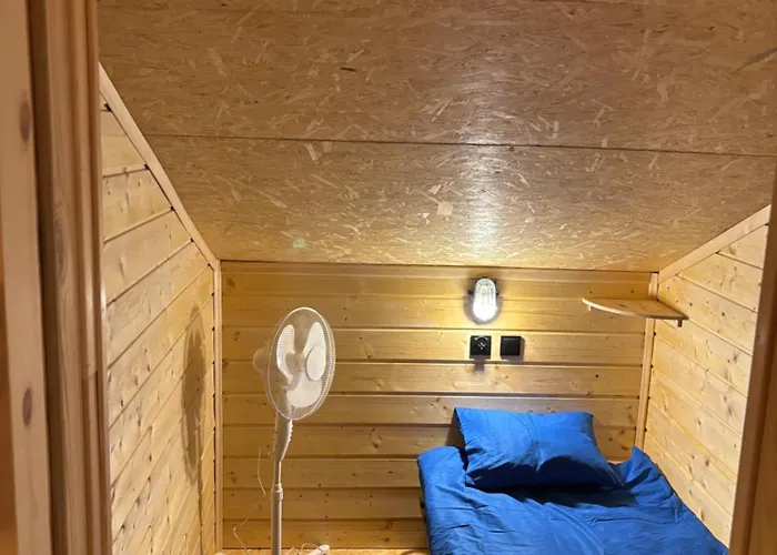 Z Antresola Igly I Szyszki *